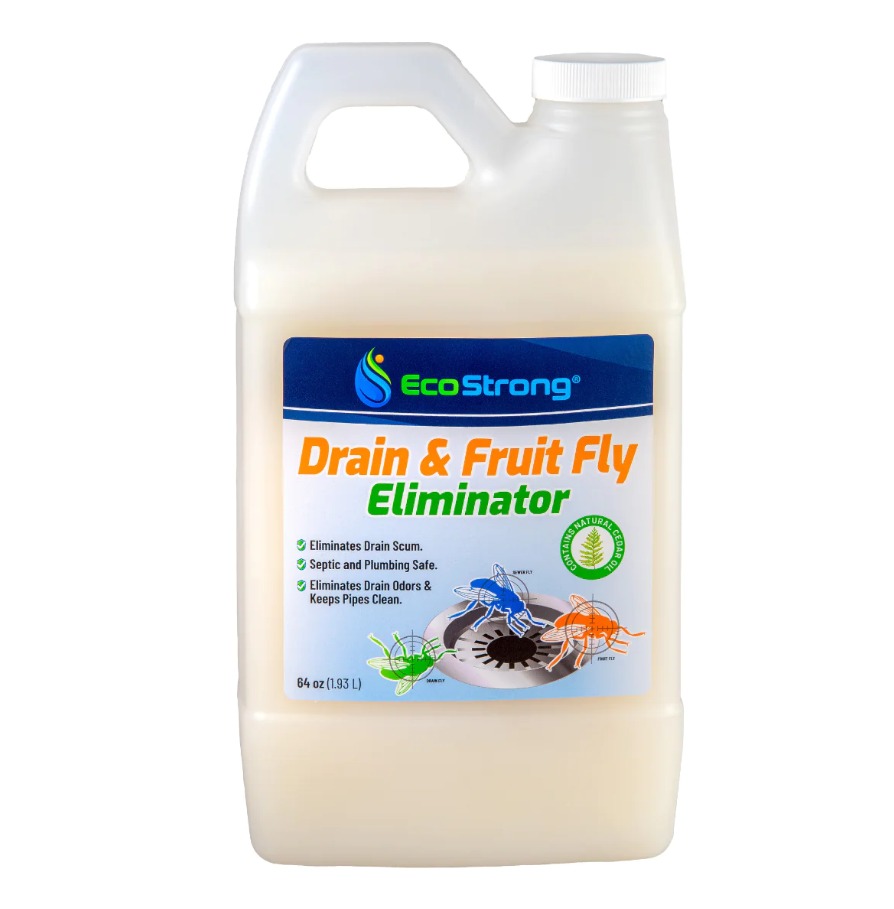 How to Get Rid of Drain Flies in Your Bathroom and Kitchen